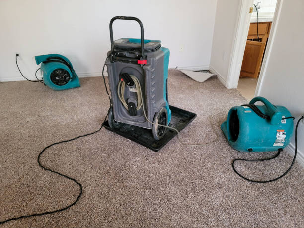 Carpet water damage restoration in Kyle, SD