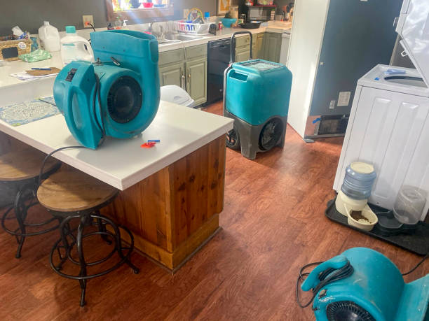 Water damage restoration mold remediation in Kyle, SD