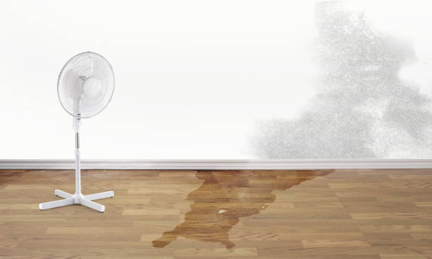 Best Flood damage cleanup  in Kyle, SD