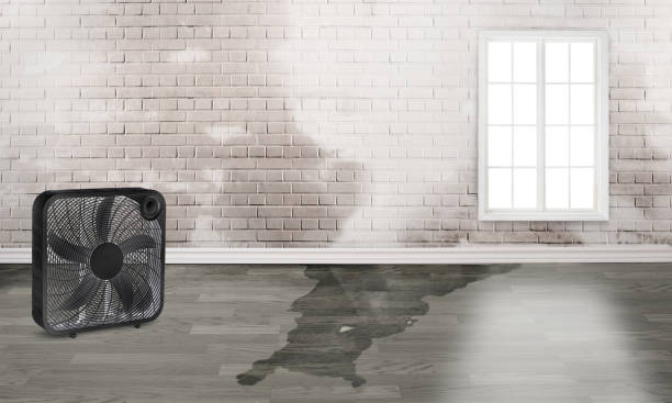 Best Water damage restoration process  in Kyle, SD